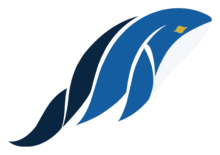 知海深智